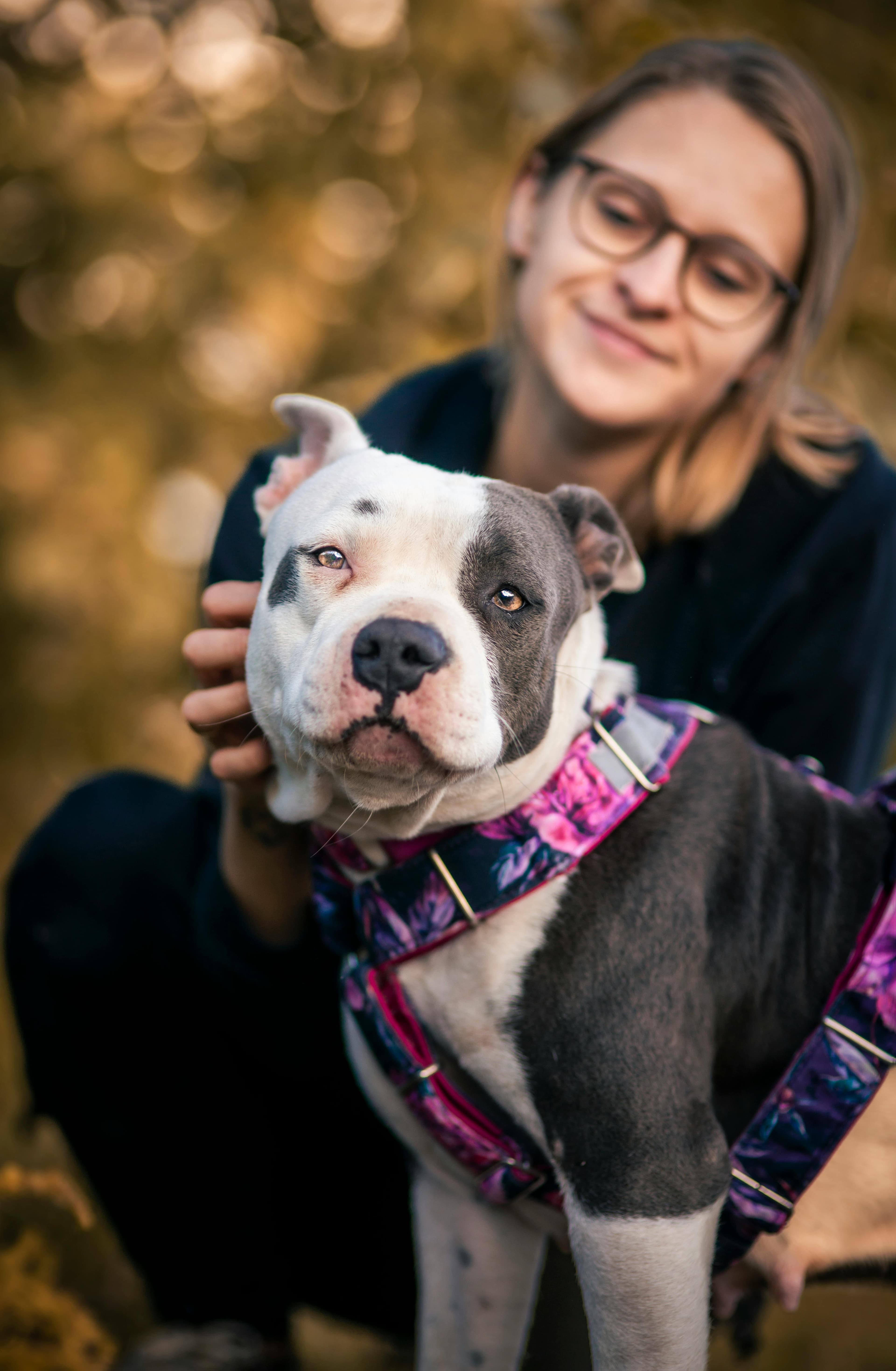 Cuidadores jugando con un grupo de perros en la ciudad